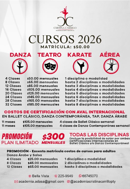 FLYER ACADEMIA precios bella vista_page-0001